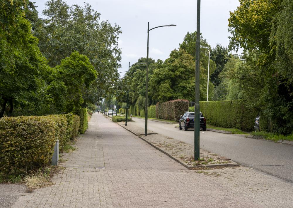 kudelstaartseweg