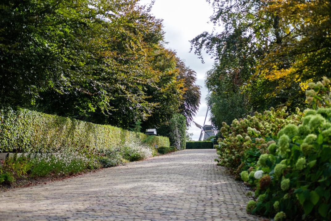 Begraafplaats Aalsmeer met een pad met uitzicht op de molen