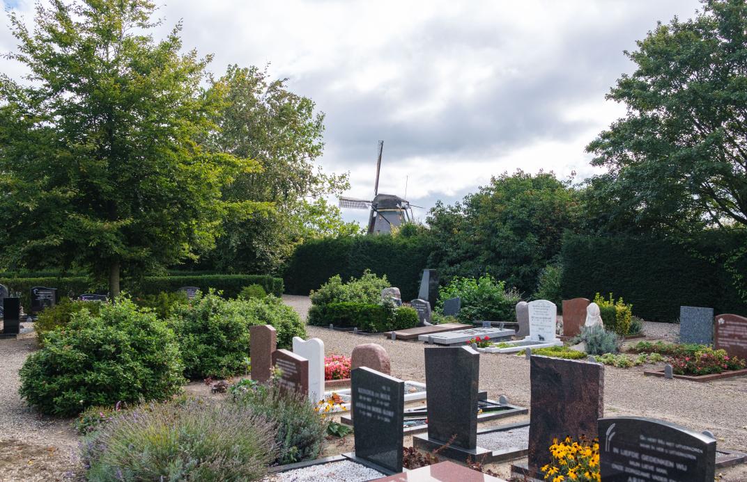 Begraafplaats Aalsmeer met graven op de voorgrond en op de achtergrond de molen