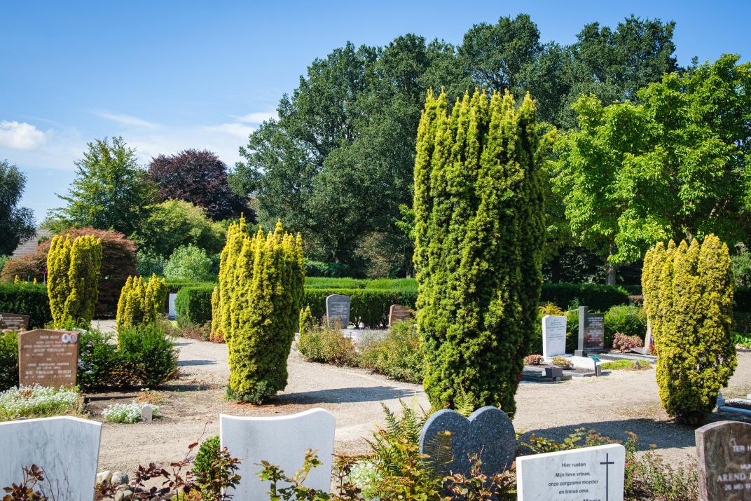 Begraafplaats Aalsmeer met graven en hoge groene struiken
